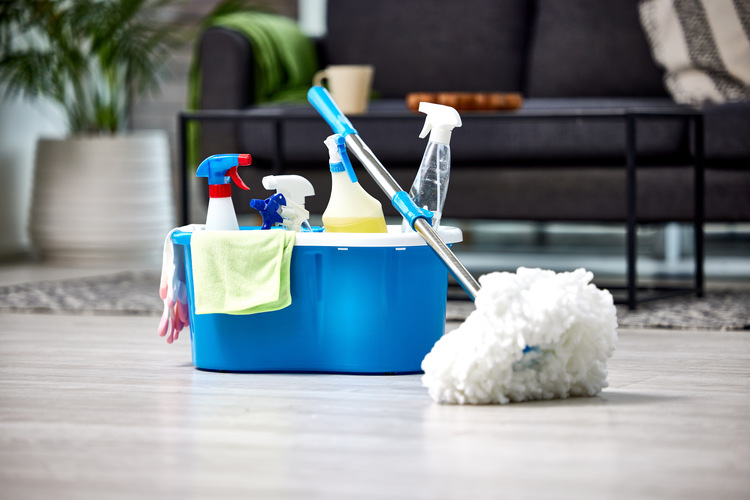 Housekeeping and home services
